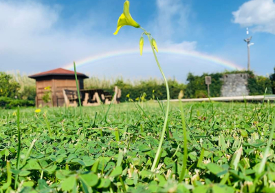 Agriturismo Galea